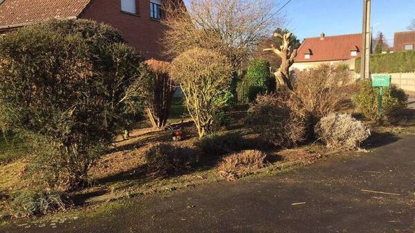 Entretien de vos espaces verts tout au long de l'année à Tortequesne