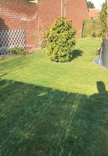 Entretien de jardin tout au long de l'année à Tortequesne